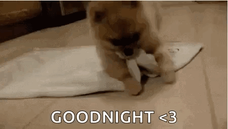 time-to-sleep-good-night (1).gif