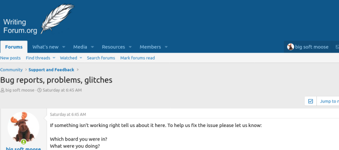 Screenshot 2025-05-19 at 17-13-04 Bug reports problems glitches.png