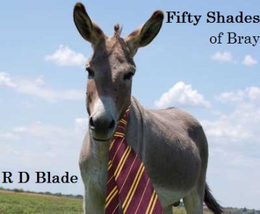 Senor_Burro_with_tie.jpg