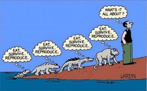 1753794513322.png