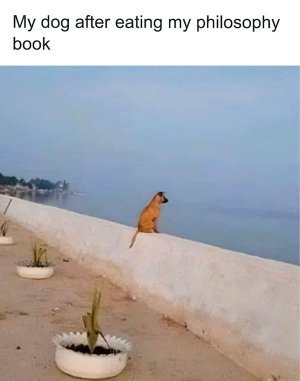Smol-Animal-Memes-Facebook-21.jpg