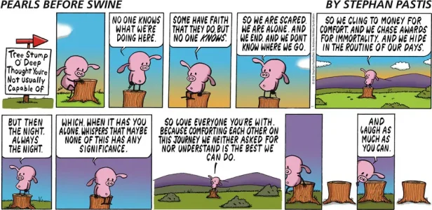 pearls before swine on life.webp