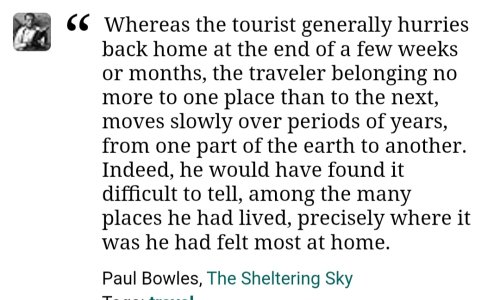 IMG_20251120_020817.jpg IMG_20251120_020817.jpg