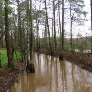 1768686609029.jpeg 1768686609029.jpeg