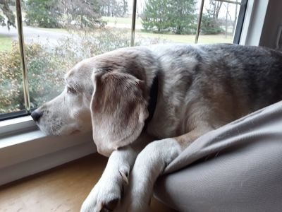 1772150142842.jpeg 1772150142842.jpeg