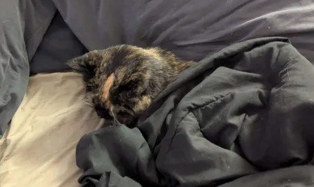 Screenshot 2026-03-18 211509.jpg