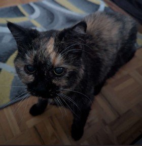 Screenshot 2026-03-22 210300.jpg Screenshot 2026-03-22 210300.jpg