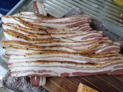 20211023_115410.jpg 20211023_115410.jpg