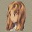 Naho