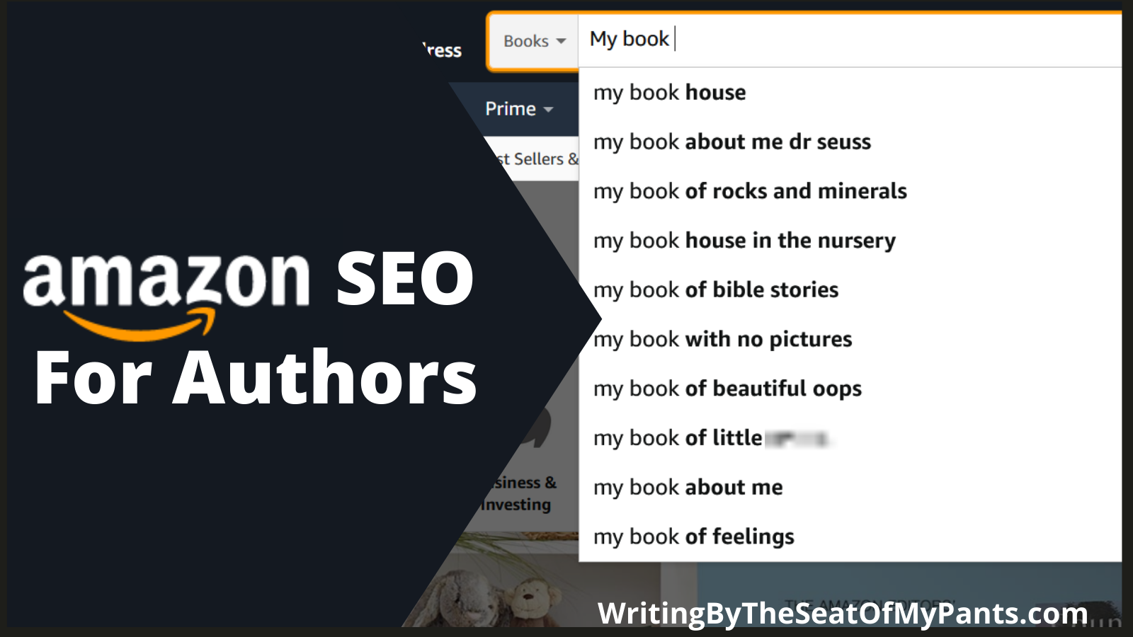 writingbytheseatofmypants.com