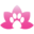 www.freekoreandogs.org