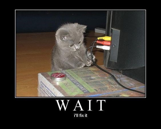 cat-wait-fix