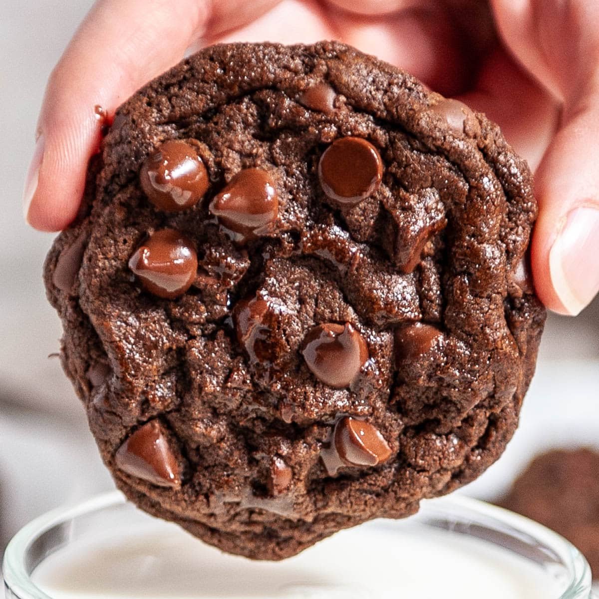 double_chocolate_chip_cookies-3-1.jpg